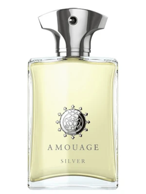 عطر ادکلن آمواج سیلور مردانه