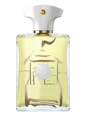 عطر ادکلن آمواج بیچ هات من مردانه