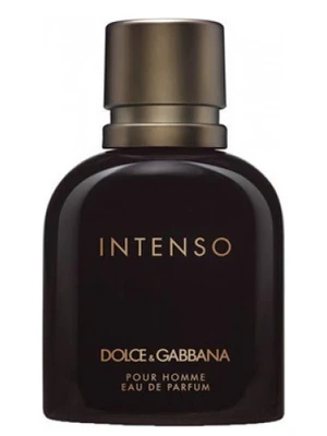 عطر ادکلن دولچه گابانا پورهوم اینتنسو مردانه